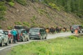 YELLOWSTONE NATIONAL PARK, WYOMING, USA - JUNE 19, 2018: Bisons in Yellowstone. Jam on the highway due to the presence of bison.