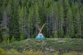 YELLOWSTONE NATIONAL PARK, WYOMING, USA - JUNE 07, 2018: Outdoor view of ancient indigenous hut with a gorgeous forest