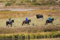 Cowboys Riding Through Lamar Valley - Yellowstone