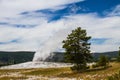 Yellowstone Old Faithful