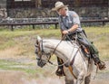 Yellowstone Park Ranger Royalty Free Stock Photo