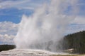 Yellowstone Park's Old Faithful Royalty Free Stock Photo