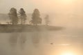 Yellowstone River Foggy Morning Goose Silhouette Royalty Free Stock Photo