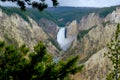 Yellowstone river and the Yellowstone waterfall  in Wyoming, USA. Royalty Free Stock Photo