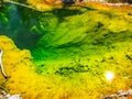 Yellowstone Seismograph Pool