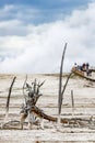 Yellowstone thermal landscape