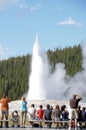 Yellowstone Tourist