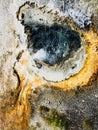 Yellowstone gyser Royalty Free Stock Photo