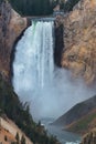 Yellowstone Falls in Yellowstone National Park Royalty Free Stock Photo