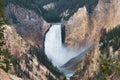 Yellowstone Falls in Yellowstone National Park Royalty Free Stock Photo