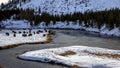 Yellowstone winter Royalty Free Stock Photo