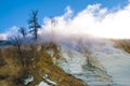 Yellowstone Winter Landscape Royalty Free Stock Photo
