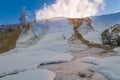 Yellowstone Winter Landscape Royalty Free Stock Photo