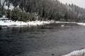 Yellowstone Winter Snow Madison River Royalty Free Stock Photo