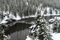 Yellowstone Winter Snow Madison River Royalty Free Stock Photo