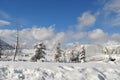 Yellowstone in winter Royalty Free Stock Photo