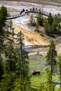 Yellowstone, Wyoming, USA, May, 25, 2021, Bison Bison bison eating next to the Firehole River by tourists in the Upper Geyser