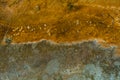 Yellowstones Algae Canvas