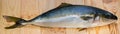 Yellowtail fish on wooden board Royalty Free Stock Photo