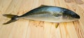 Yellowtail fish on wooden boards Royalty Free Stock Photo
