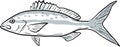 yellowtail snapper Fish Gulf of Mexico Cartoon Drawing