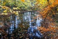 Yellowwood Lake Autumn in Indiana Royalty Free Stock Photo