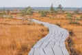 Yelnya National Landscape Reserve trail over a bog , Belarus