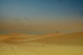 Yemen. Socotra. Desert landscape with the silhouette of calm away