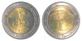 20 Yemeni rial coin Royalty Free Stock Photo