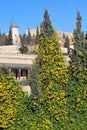 Yemin Moshe neighborhood Royalty Free Stock Photo