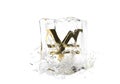 Yen money sign in cube of melting ice and drop water on isolated background