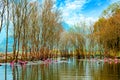 Yen stream on the way to Huong pagoda in autumn, Hanoi, Vietnam. Vietnam landscapes.