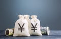 Yen yuan money bags. Capital investment, savings. Economics, lending business. Profit income, dividends payouts. Crowdfunding