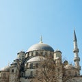 Yeni cammii mosque 02