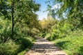 Yeongdeungpo ecological circular walkway path view of Yeouido Saetgang Ecological Park Seoul South Korea Royalty Free Stock Photo