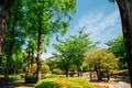 Yeonji park green forest in Gimhae, Korea Royalty Free Stock Photo