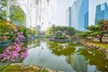 Yeouido Park in Seoul, Korea Royalty Free Stock Photo