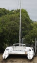 Catamaran Moored In Creek Mangroves