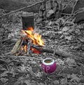 Yerba mate around campfire Royalty Free Stock Photo