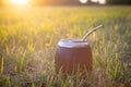 Yerba mate gourd cup on grass in a field on sunlight