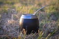 Yerba mate gourd cup on grass in a field on sunlight