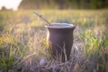 Yerba mate gourd cup on grass in a field on sunlight