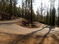 Yercaud hairpin bend view, Tamilnadu, India