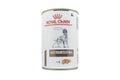 Yerevan, Armenia, April. 10, 2023: Package with Royal Canin gastrointestinal pet food. Royal Canin can of canned dog food