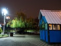 Yerevan night shut swan lake Royalty Free Stock Photo