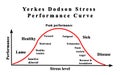 Stress Performance Curve