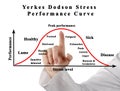 Stress Performance Curve Royalty Free Stock Photo