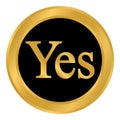 Yes button on white. Royalty Free Stock Photo