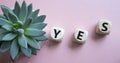 Yes symbol. Wooden blocks with word yes. Beautiful pink background with succulent plant. Business and yes concept. Copy space Royalty Free Stock Photo