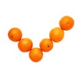 Yes tick mark made of multiple oranges isolated
